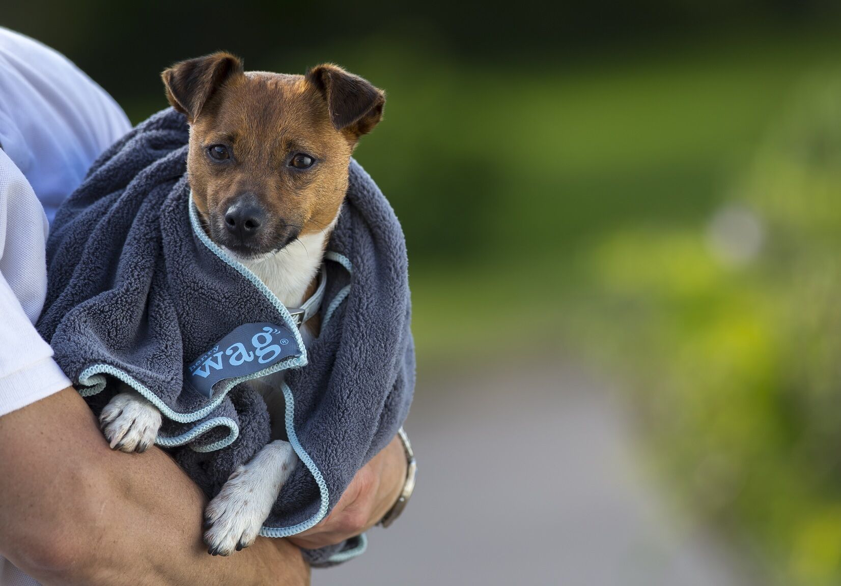 henry wag microfibre glove towel