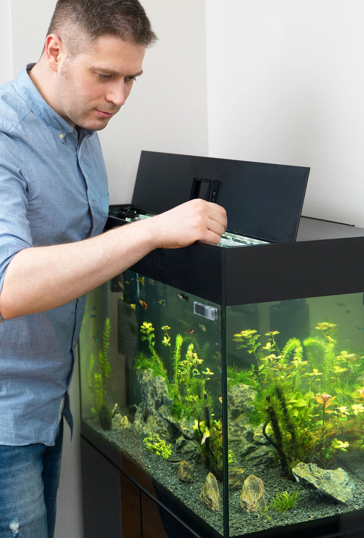 Are Consumers Turning to the Aquarium Hobby Right Now?, Current Issue