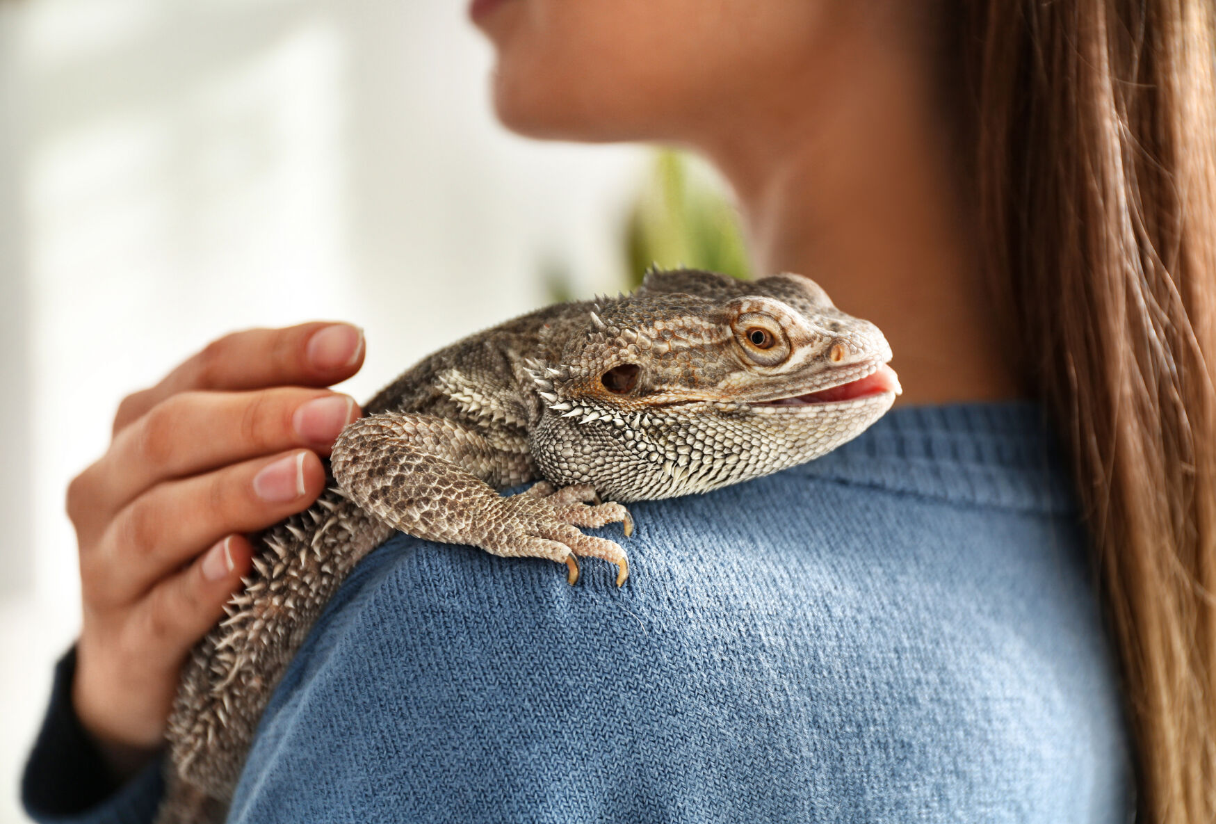 Sales of Live Feeders for Pet Reptiles and Amphibians Are a Boon