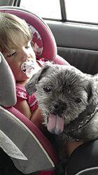 Pet Projects: The Pet Industry ‘Paws It Forward’