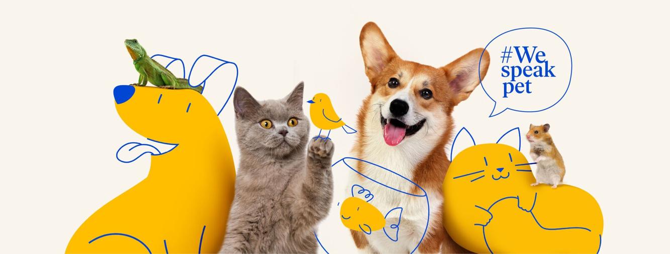 Pet Supermarket’s New Campaign Emphasizes How the Retailer Serves Pets