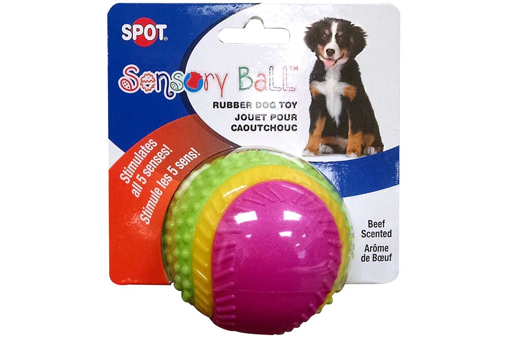 5 senses dog ball