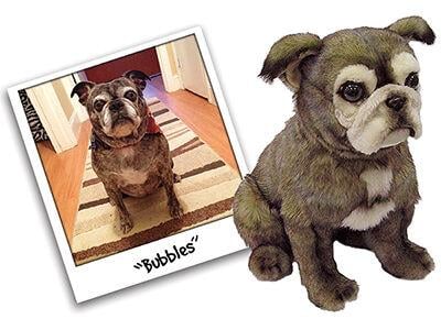 Cuddle Clones Acquires Cartoonize My Pet News Petproductnews Com Why not check out the cartoonize your pet home page and play for free! cuddle clones acquires cartoonize my