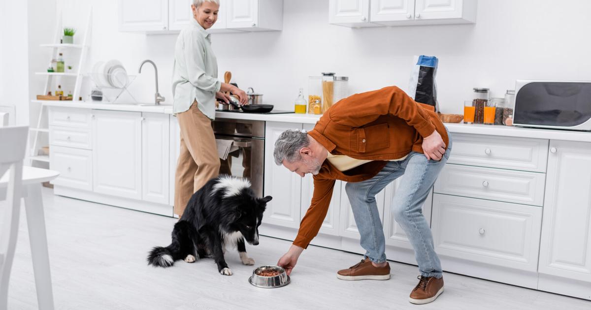 4 Hurdles Premium Dog Food Sales Conquered in the Past Year | 4 Hurdles Premium Dog Food Sales Conquered in the Past Year |