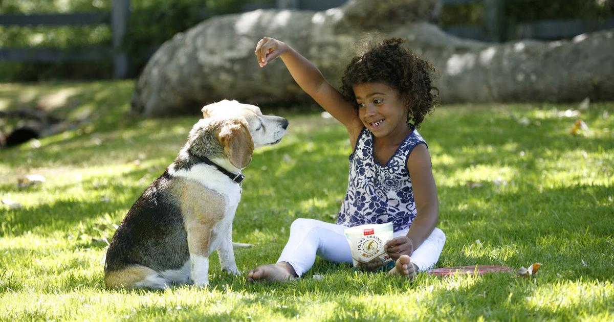 Why Whitebridge Pet Brands Is Building a Global Natural Pet Health Nutrition Company | Why Whitebridge Pet Brands Is Building a Global Natural Pet Health Nutrition Company |