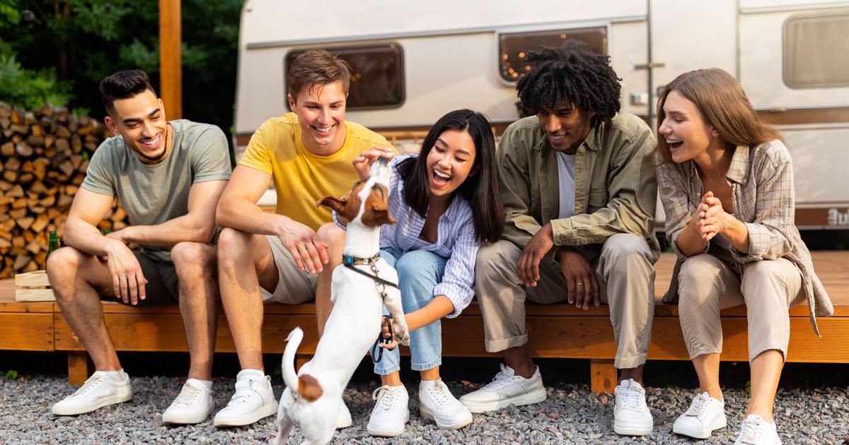 Innovative Pet CBD Companies: 5 Brands with Unique Offerings | Latest Edition Innovative Pet CBD Companies: 5 Brands with Unique Offerings | Latest Edition