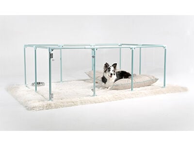 Clearly loved pets hot sale lucidium dog pen