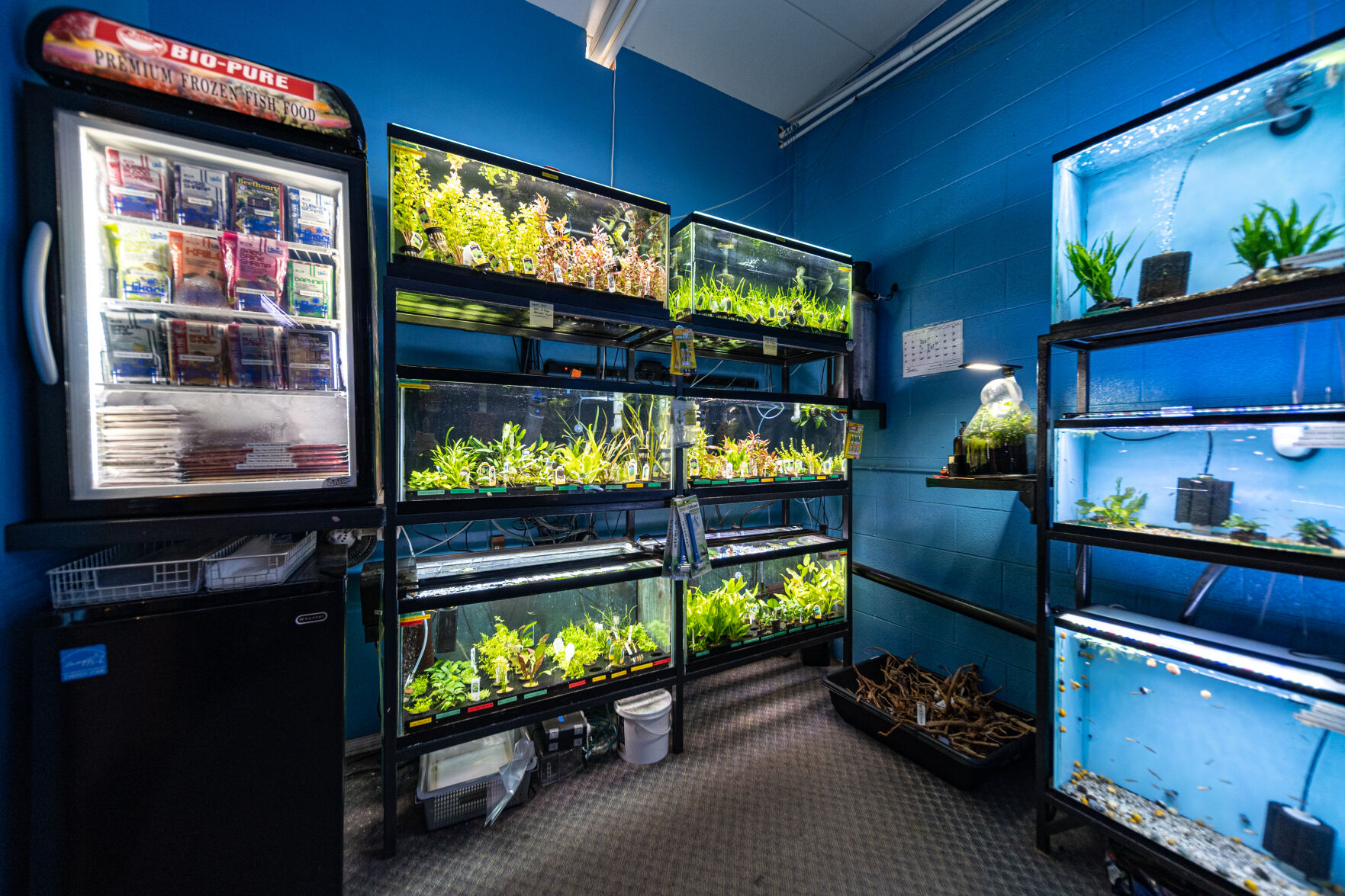 Aquarium Co Op Has Made a Worldwide Name for Itself Industry Profiles petproductnews