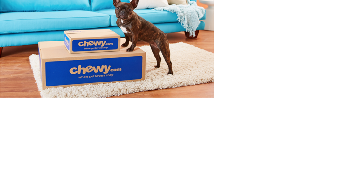 Chewy outlet dog store