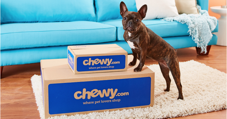 Chewy dog cheap