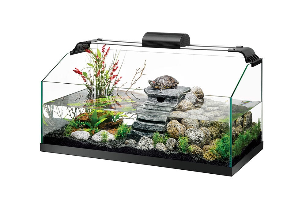 Zilla Premium Aquatic Turtle Kit, Products