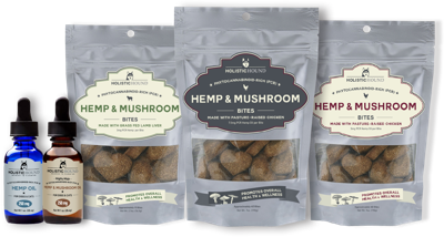 Bentley s Pet Stuff to Carry Holistic Hound Products Archives petproductnews