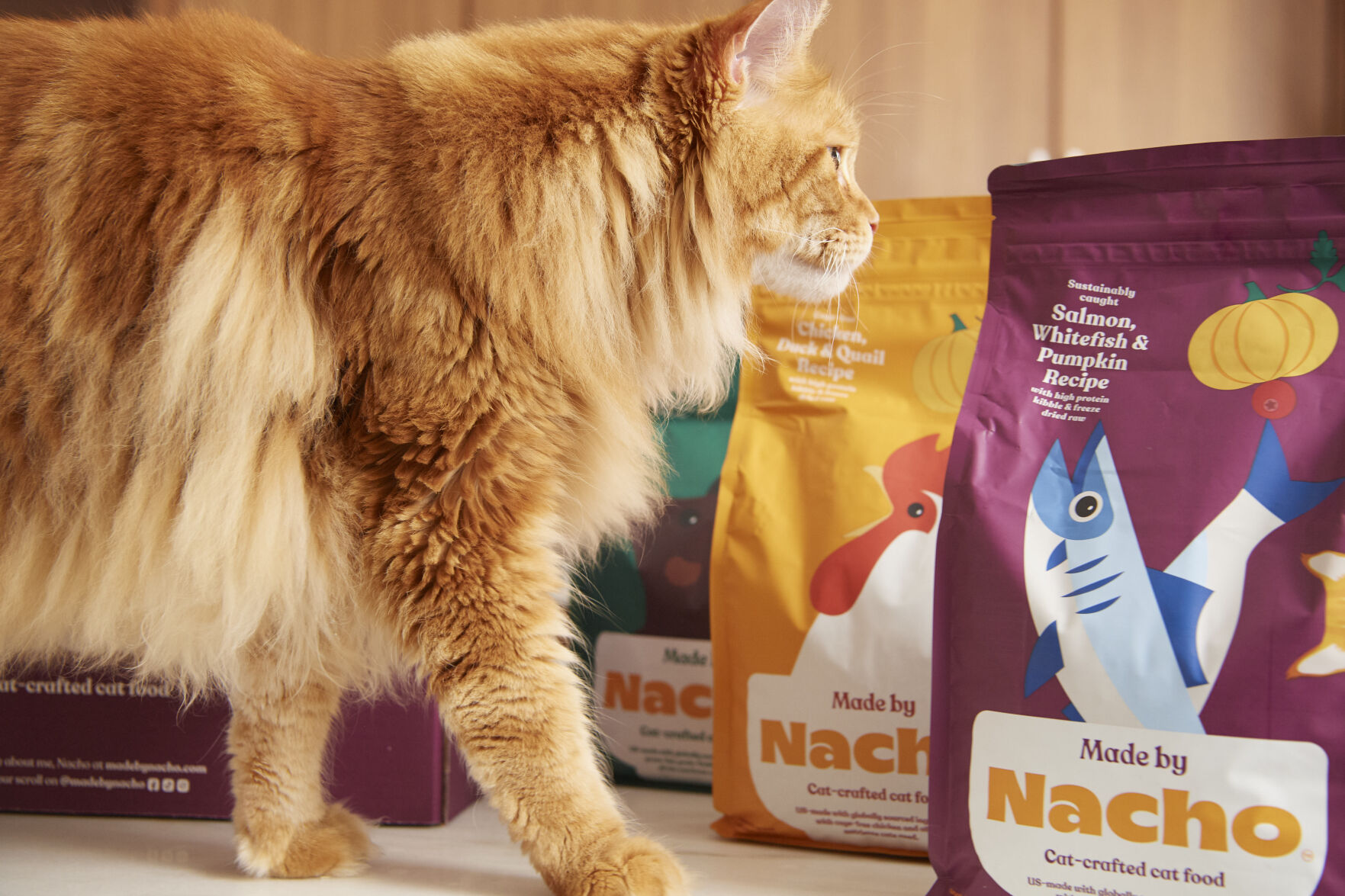 Made by Nacho Enters Exclusive Partnership with Phillips Pet Food