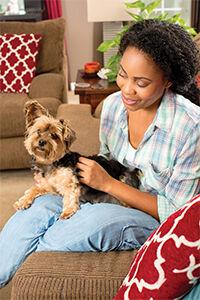 Swift, Safe and Systematic Pest Control for Pets