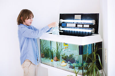 automated aquarium