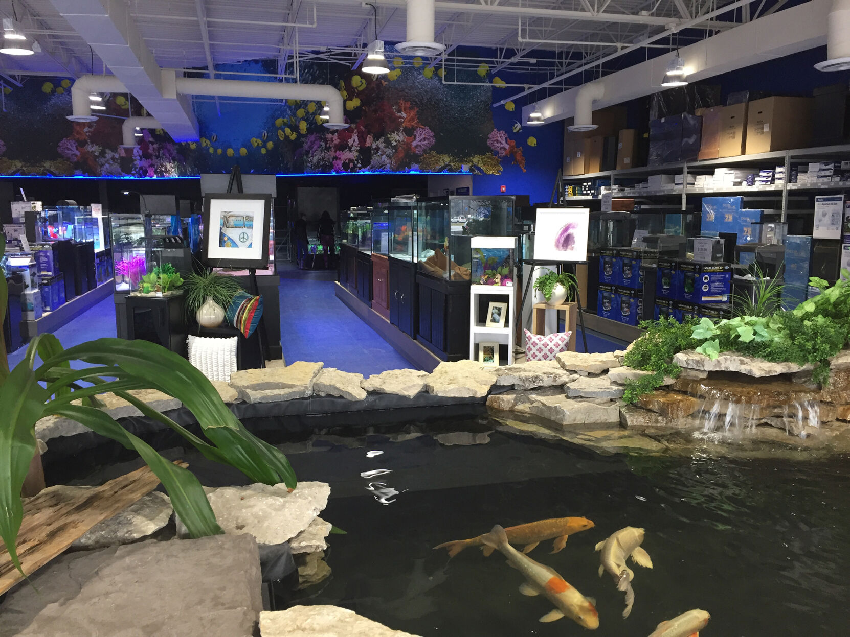 petland and aquarium adventure