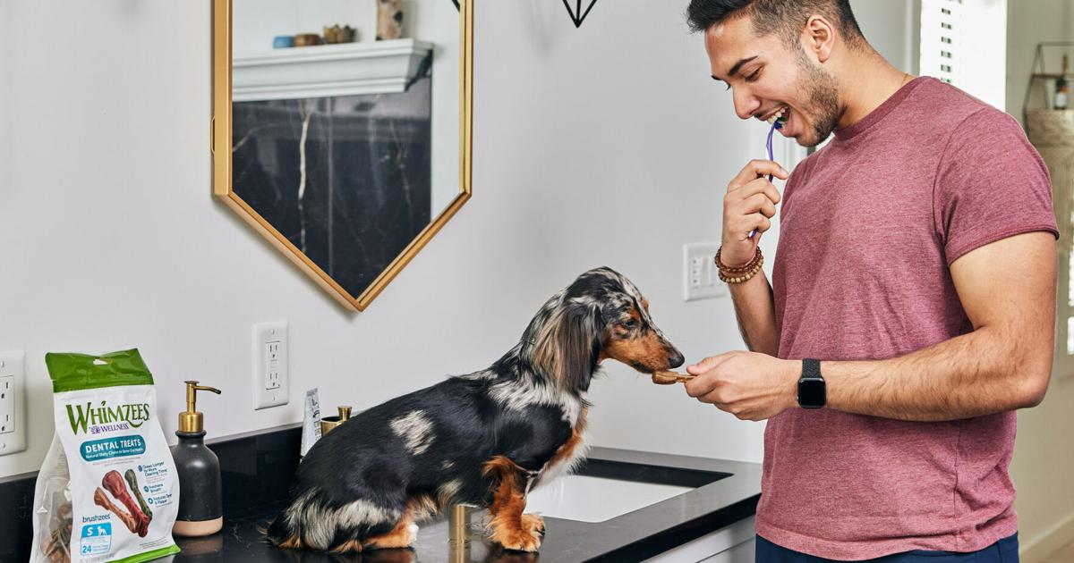 Gen Z and Millennial Pet Owners Are Prioritizing Their Dog’s Dental Health | News