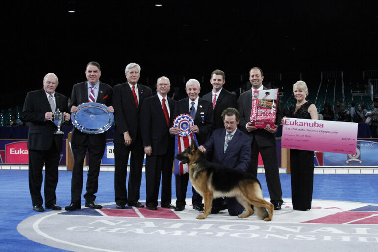 German Shepherd Wins Best In Show At AKC Eukanuba National