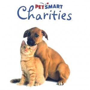 which is the best animal charity to donate to, petsmart charities donation, petsmart charities pet adoption