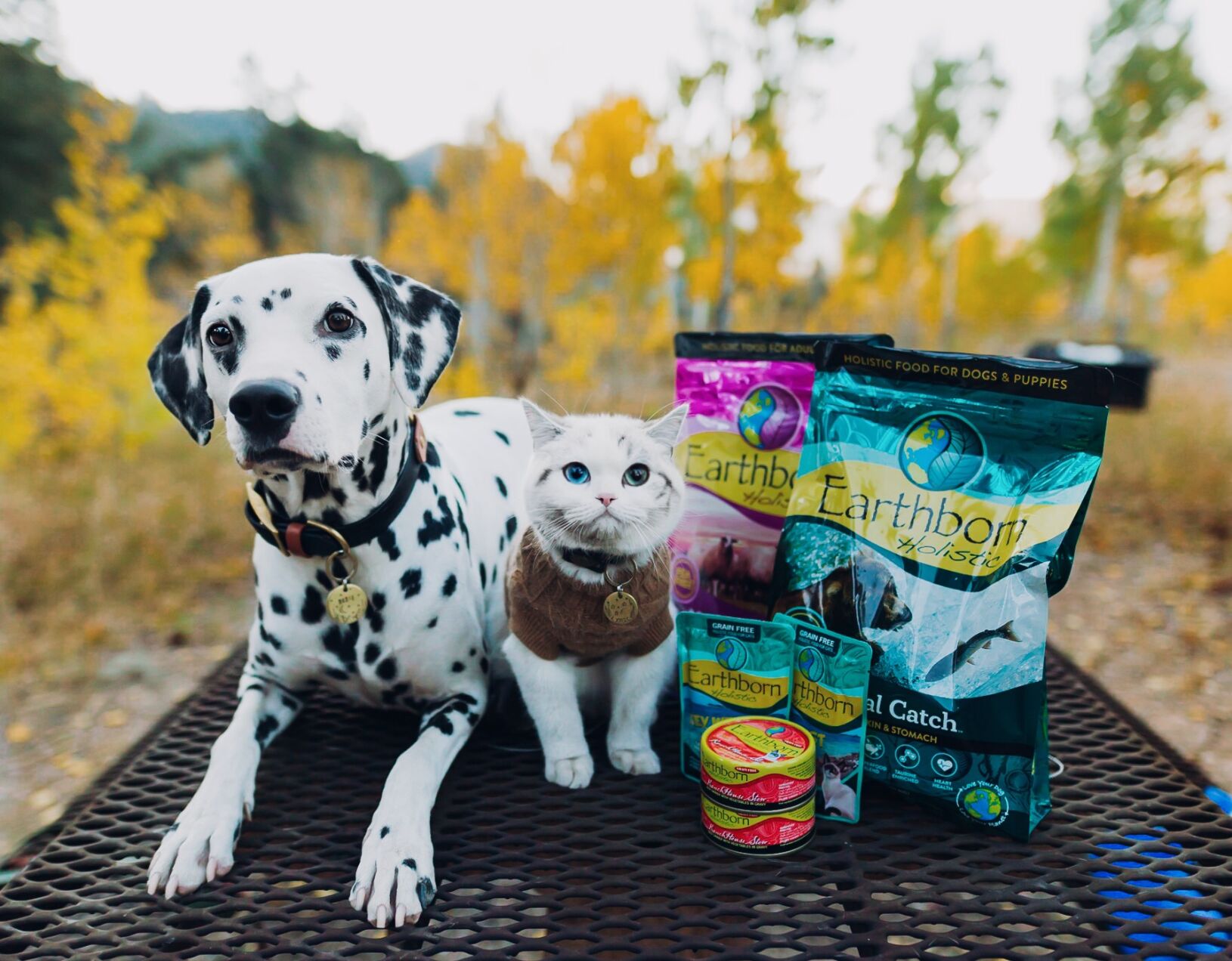 Midwestern Pet Foods Sets Sights on More Sustainability Projects