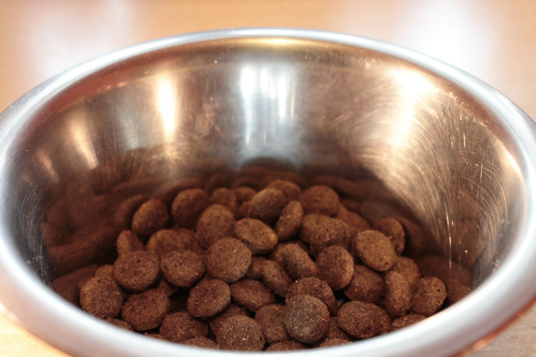 dog foods linked to canine heart disease