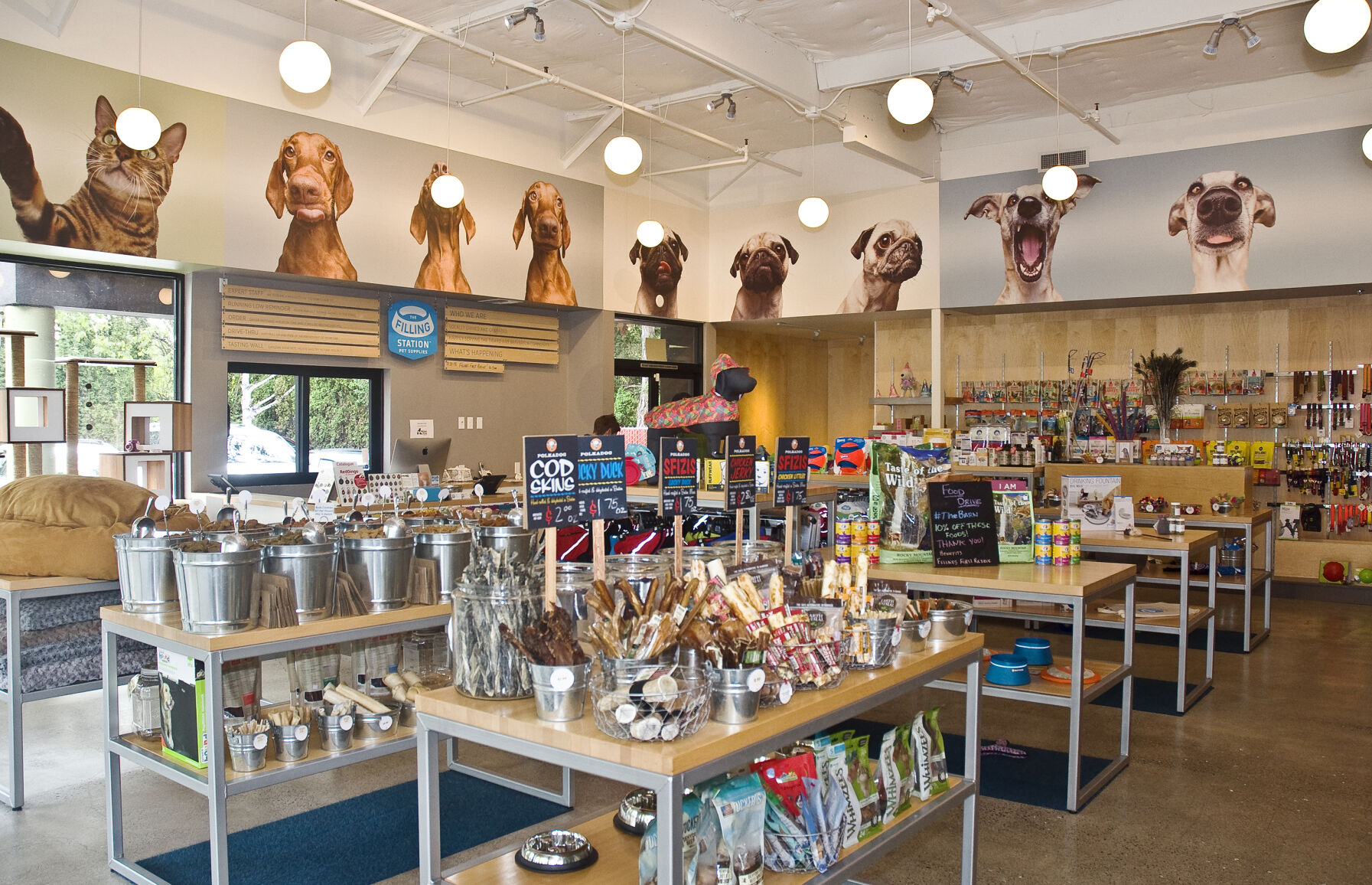 COVID Pandemic Amplified This Oregon Pet Store s Need to Compete