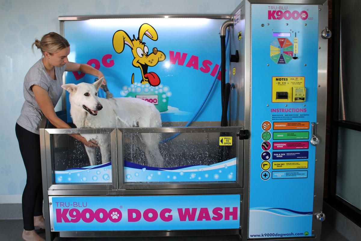 Australian Maker of DIY Dog Washing Stations Launches U.S. Operations