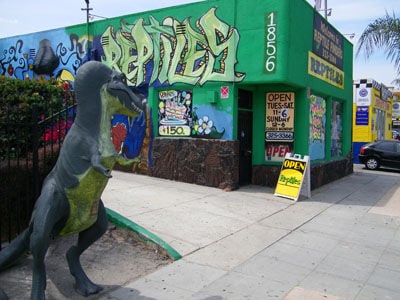 reptile retailers