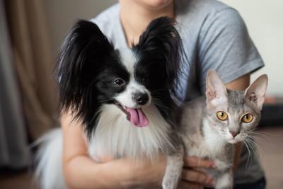 Reactive Pet Owners Are Driving Natural Pet Supplement Trends | Current  Issue 