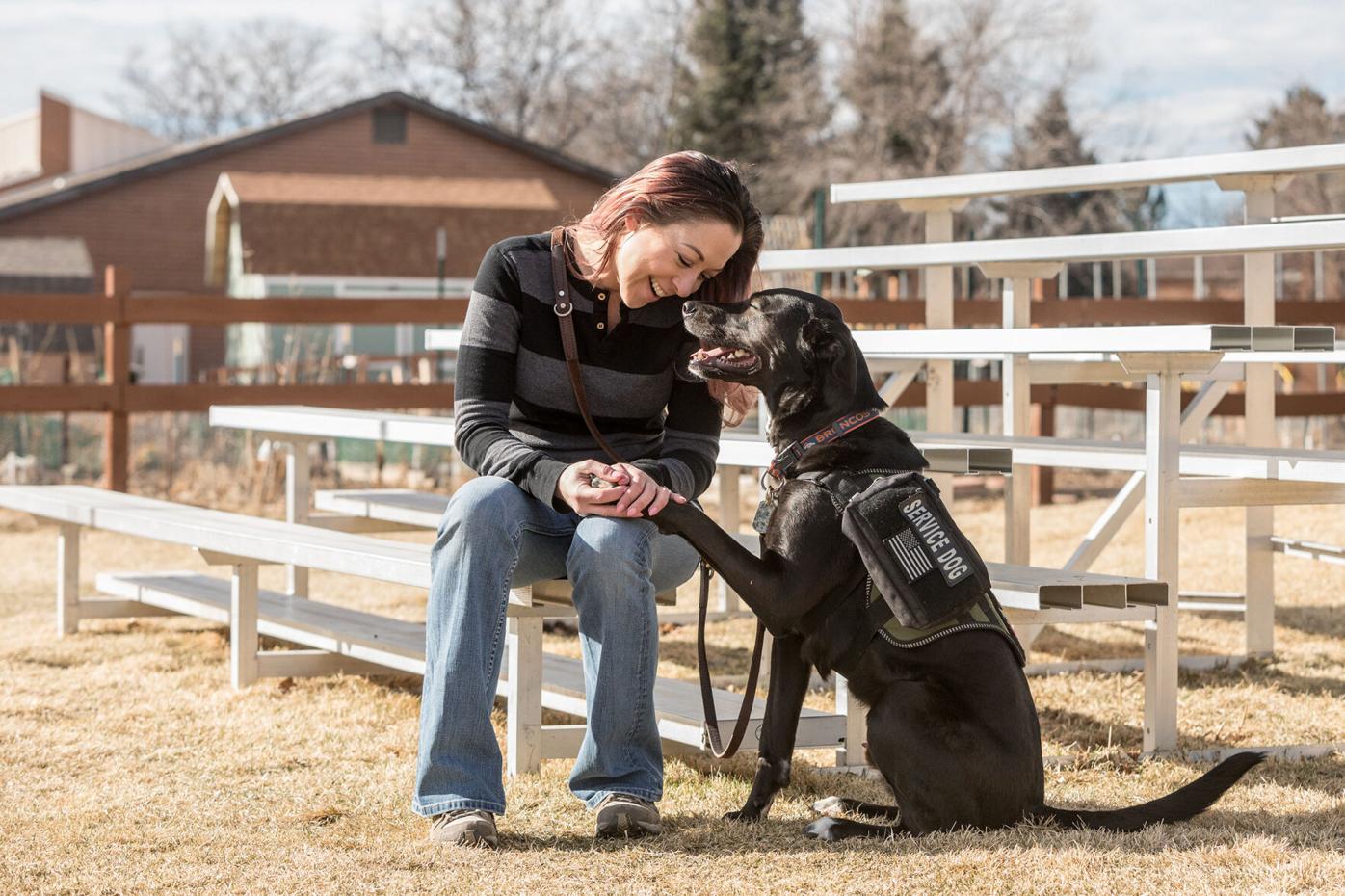 Petco Foundation Grants To Support Veterans Archives Petproductnews Com