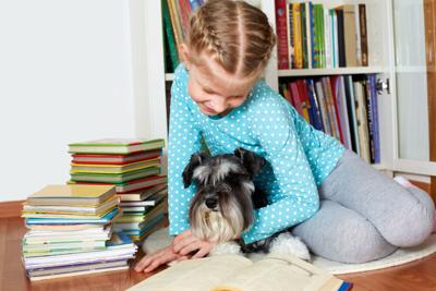 PetSmart Launches Dog Therapy Training Archives petproductnews com