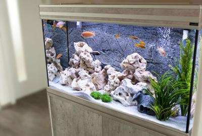 The Simple Ways Pet Stores Can Make Aquarium Maintenance Less