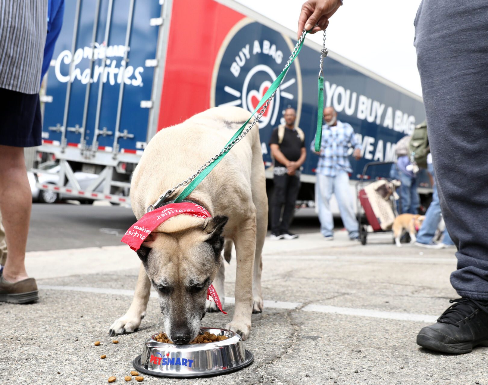 petsmart food delivery