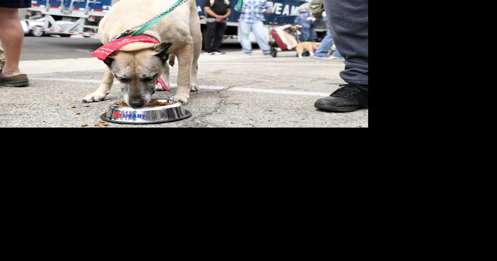 PetSmart Rolls Out Pet Food Donations Nationwide Archives