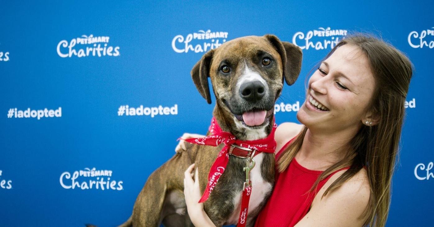 National Adoption Weekend kicks off at PetSmart