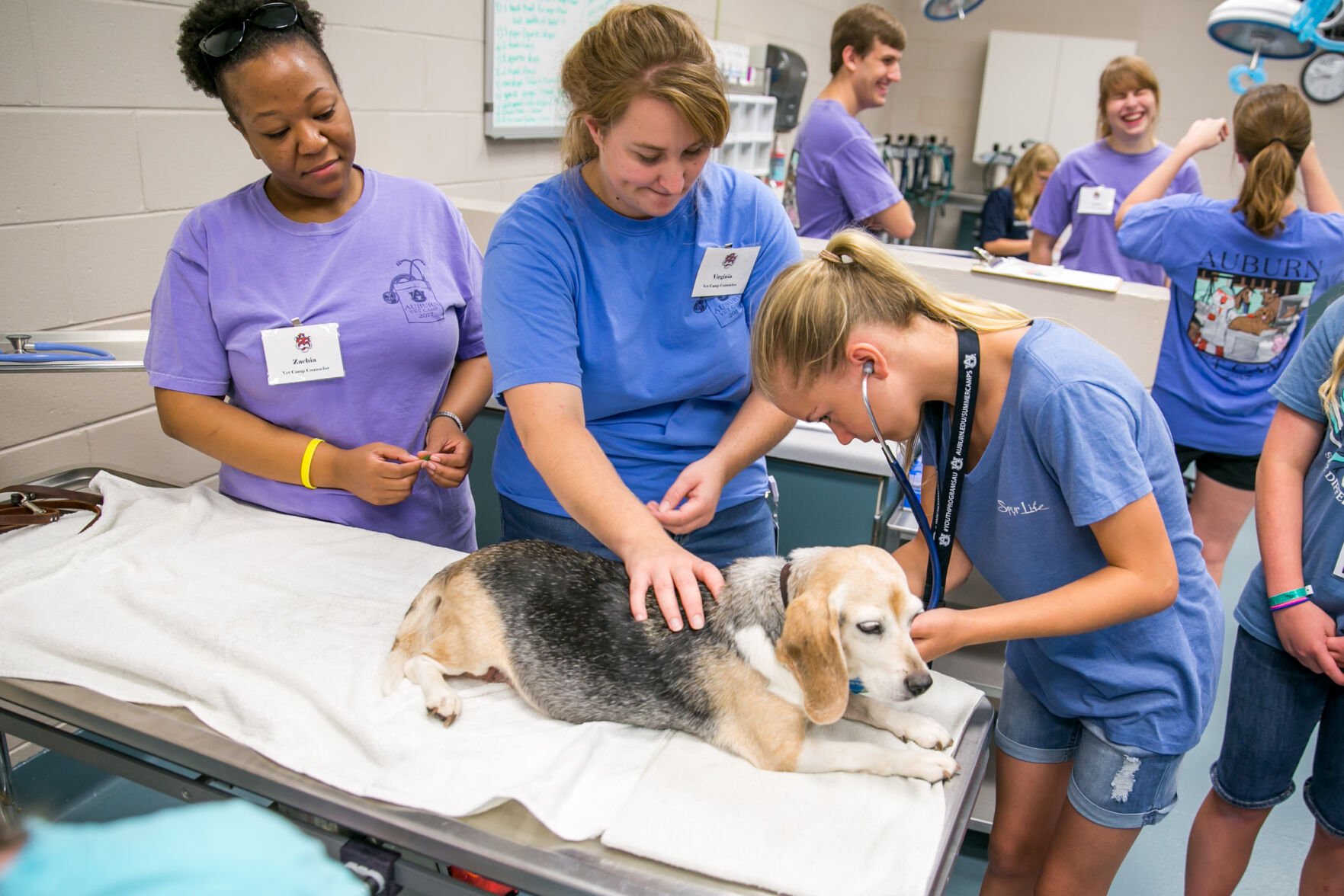 royal canin vet camp