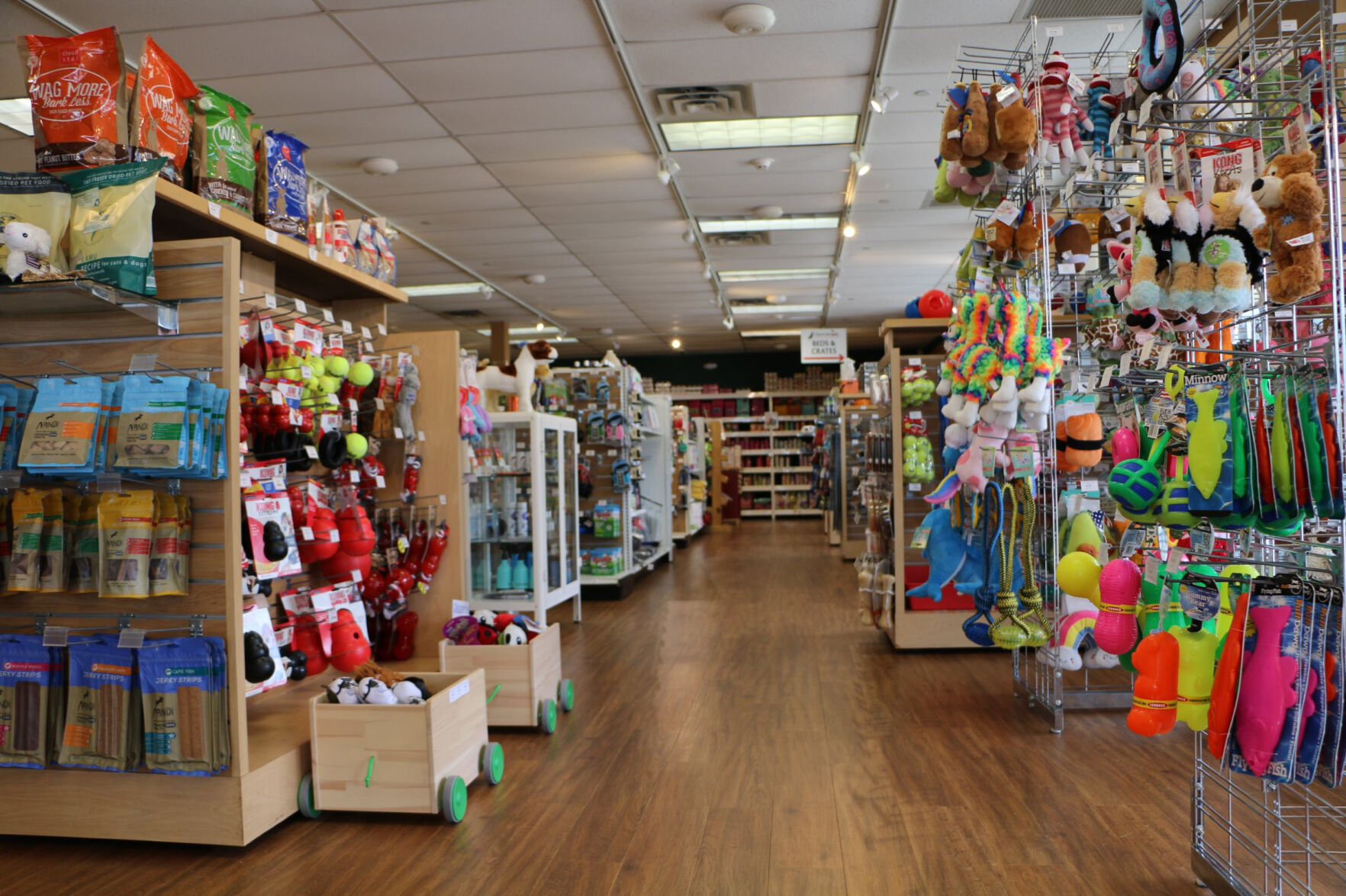 Why Cherrybrook Pet Supplies Underwent a Transformation Industry