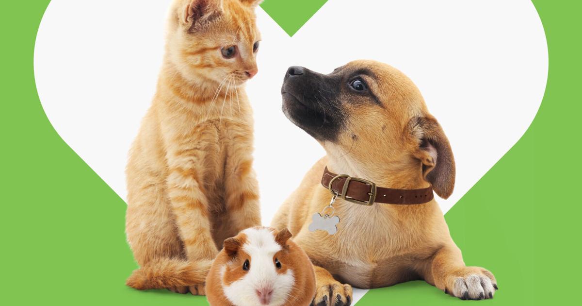 Petco’s Health and Wellness Membership Program Now Includes Birds, Reptiles, Fish and Small Pets | News Petco’s Health and Wellness Membership Program Now Includes Birds, Reptiles, Fish and Small Pets | News