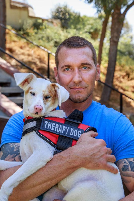 Brandon McMillan Opens Up About Rescuing Strays, Swimming with Sharks