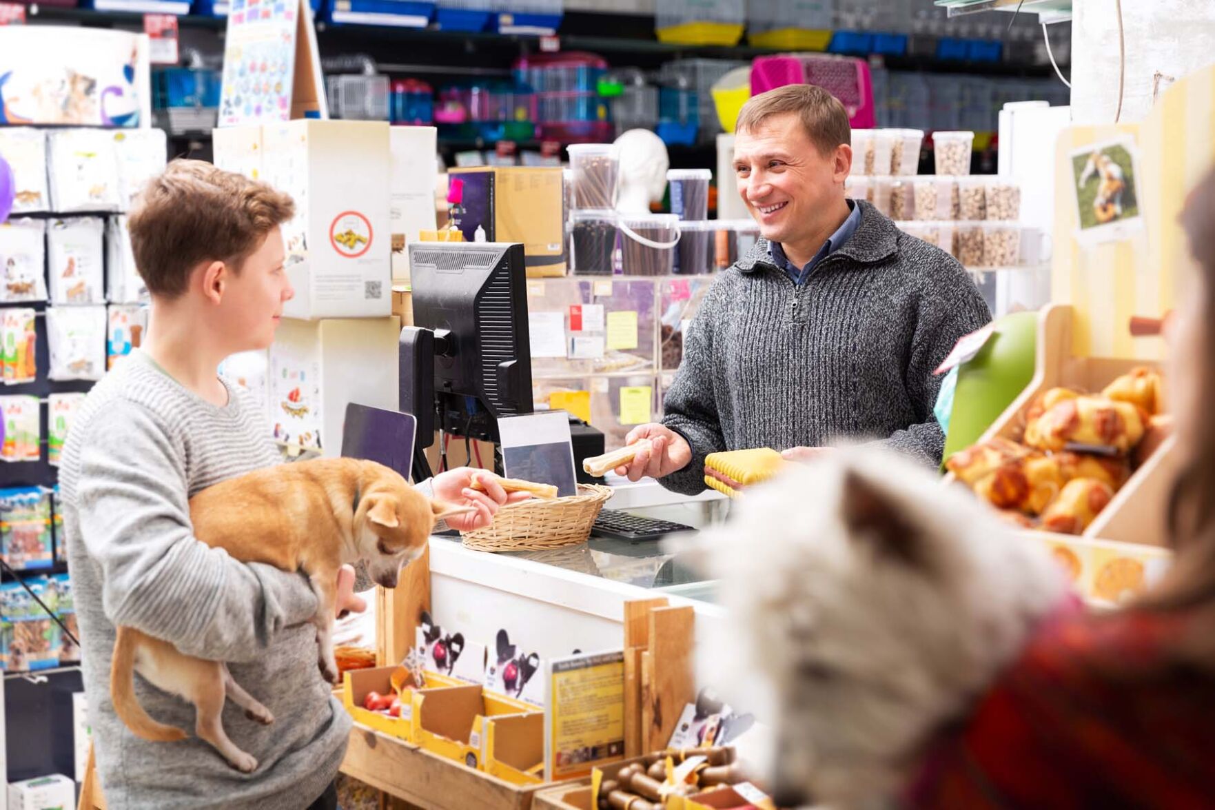 Top Retail Strategies for Pet Stores in 2021 News petproductnews