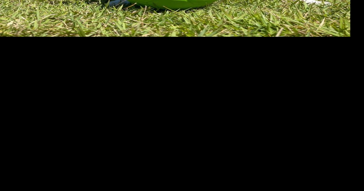 Jolly Pets and Crum & Forster Pet Insurance Group Donate Toys to 3 ASPCA Recovery Centers News