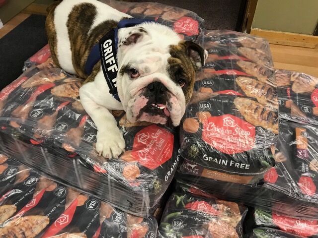 Chicken Soup for the Soul Pet Food Lends Helping Hand to Pet