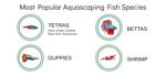 Aquarium Friend survey, fish species