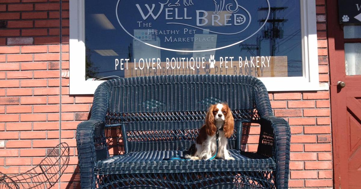 Well Bred’s Focus on Pet Health and Nutrition Goes Deep | Industry Profiles Well Bred’s Focus on Pet Health and Nutrition Goes Deep | Industry Profiles