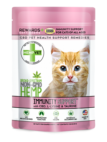 Product Spotlight: 5 Pet Wellness Products You Need to Know About