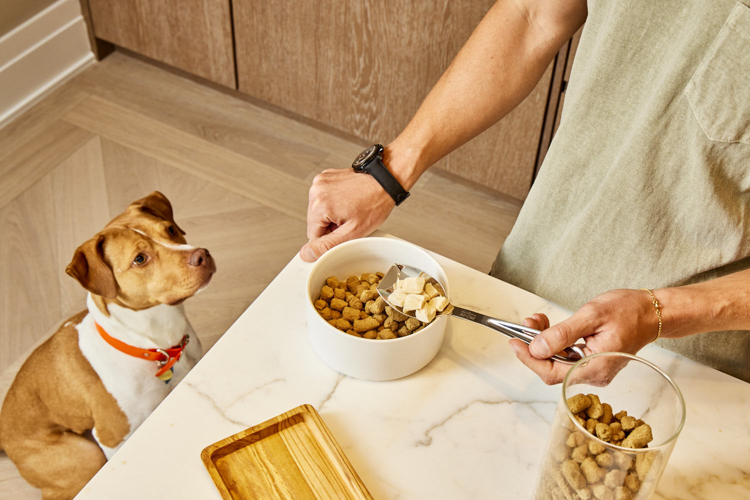 Yummers Partners with Pet Food Express petproductnews