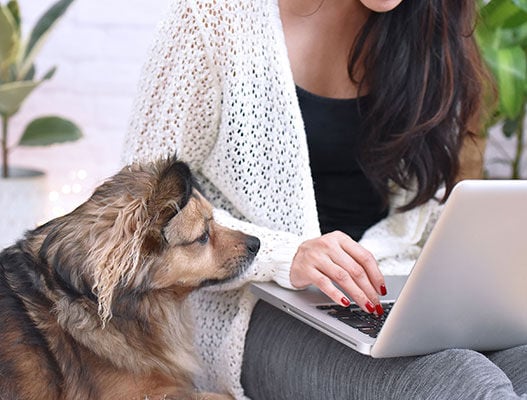 Enhance Your Pet Nutrition Knowledge With These 10 Resources