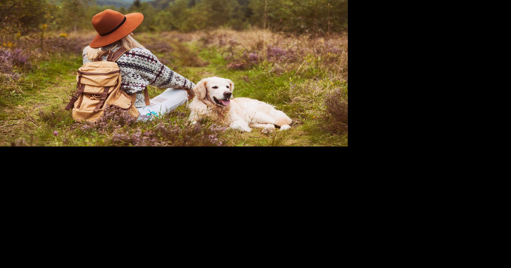 Quintessential Pet Travel Gear and Dog Walking Accessory Trends |