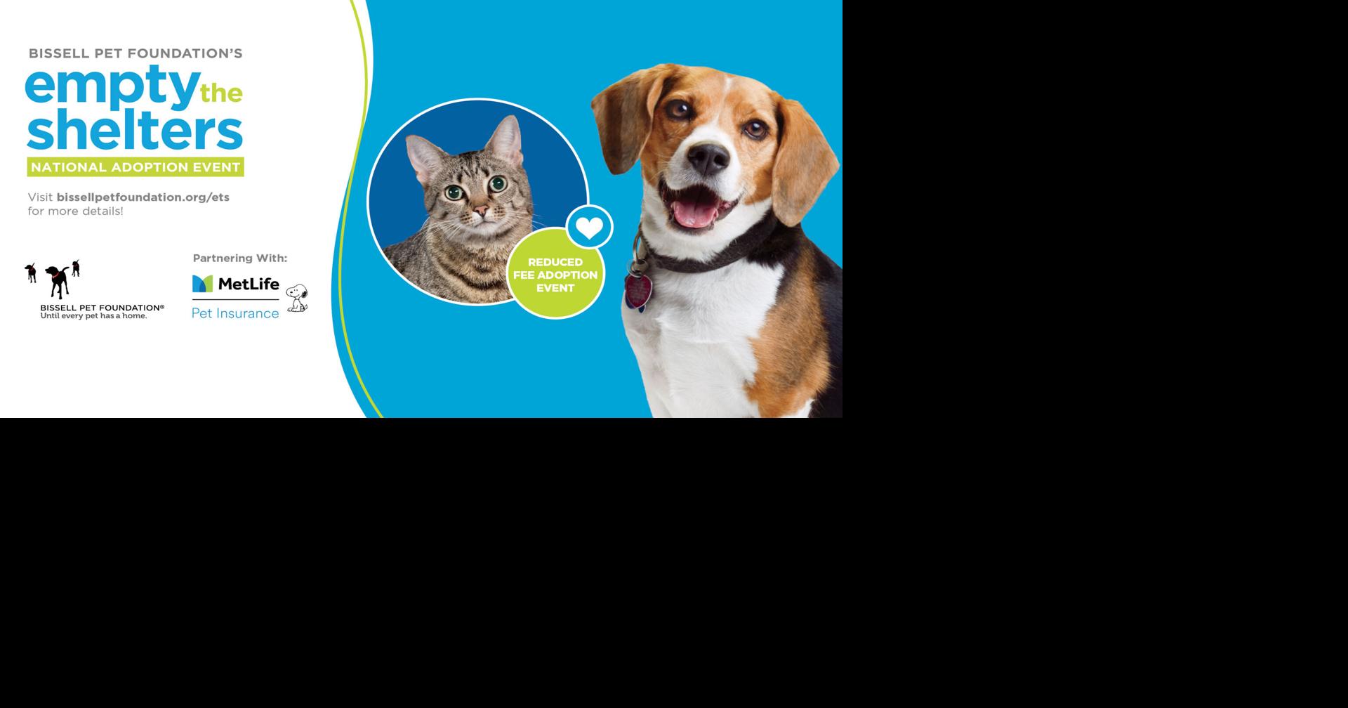 BISSELL Pet Foundation Partners with MetLife Pet Insurance for Empty the Shelters Adoption Function |