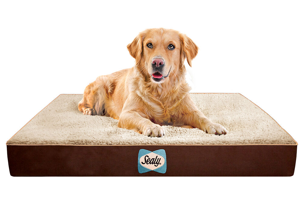 Quad-Element Sealy Dog Bed | Archives | petproductnews.com